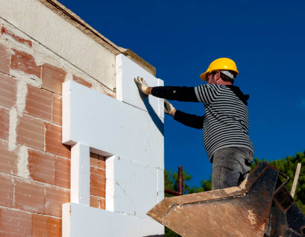 Best Blown-in Insulation  in Rock Port, MO