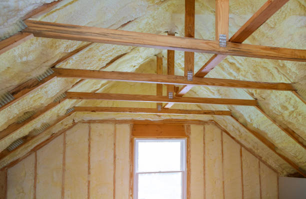 Best Insulation Contractors for Homes  in Rock Port, MO
