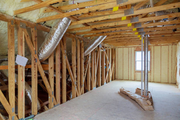 Best Attic Insulation Installation  in Rock Port, MO