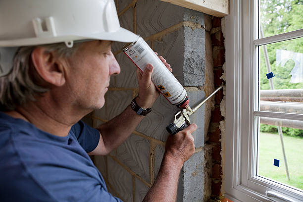 Best Insulation Replacement Services  in Rock Port, MO